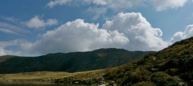 6 gute Gründe für Urlaub auf der Alm