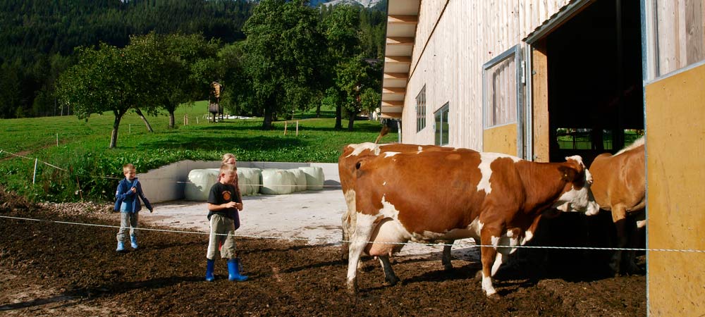 Ein Tag am Bauernhof im Zeitraffer