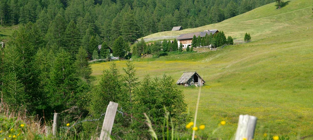 Urlaub auf der Alm – Wansing-Alm in Kärnten