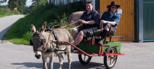 Ausfahrt mit dem Esel-Sulky in Hanerau-Hademarschen